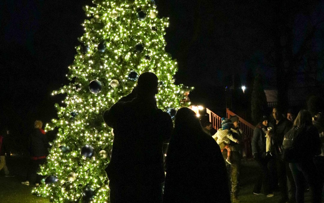 Tree Lighting